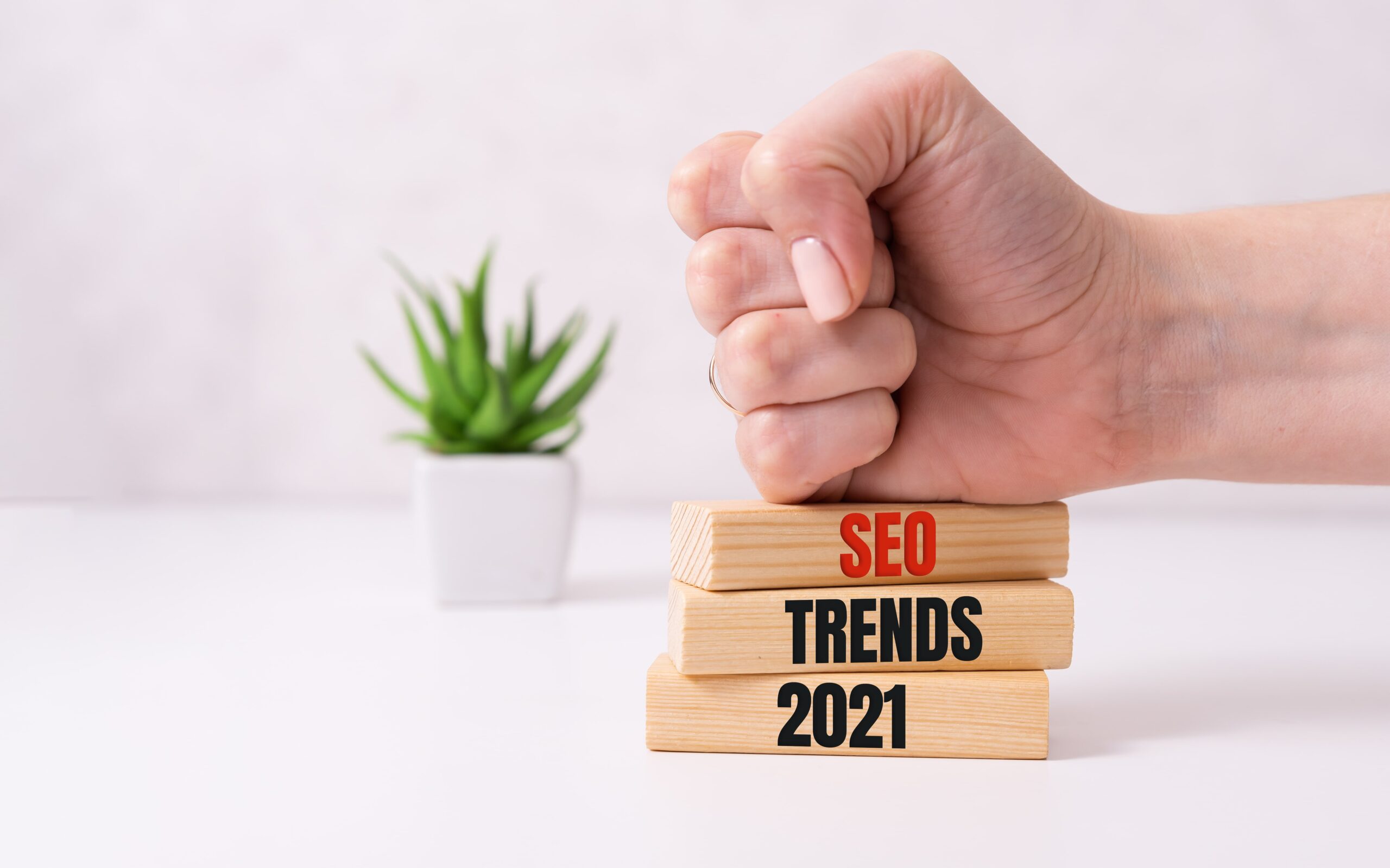 seo trends